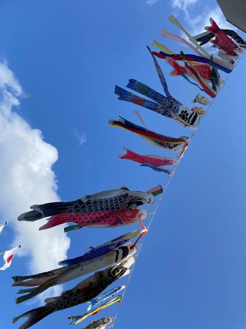 「もう一度泳がせよう！みんなのこいのぼり」